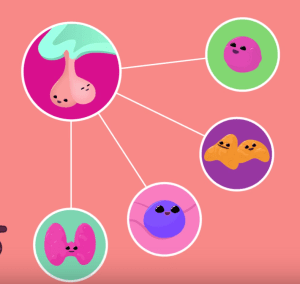 Screen Shot 2015-11-07 at 6.09.48 AM