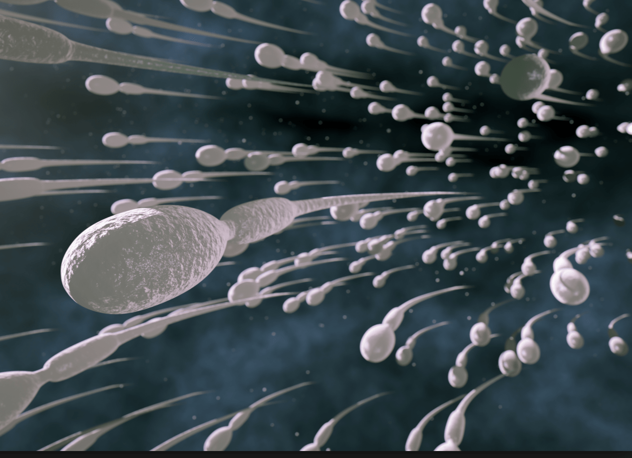 Screen Shot 2016-03-26 at 3.57.20 PM.png