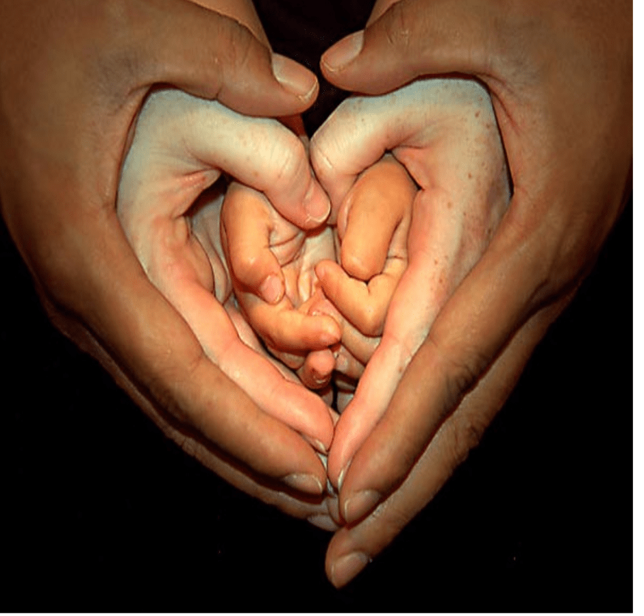 Screen Shot 2016-06-30 at 6.51.33 AM.png